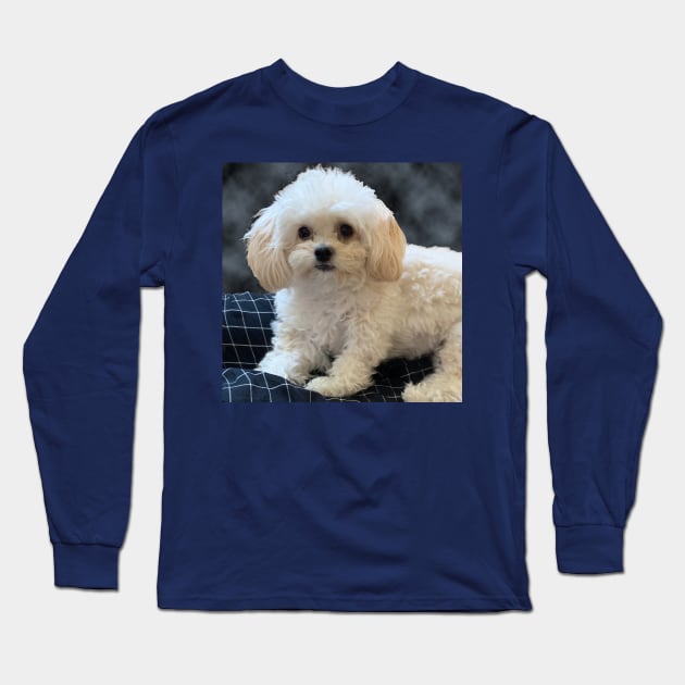 Maltipoo Love. Beautiful little dog with long silky white hair. Long Sleeve T-Shirt by KarenZukArt